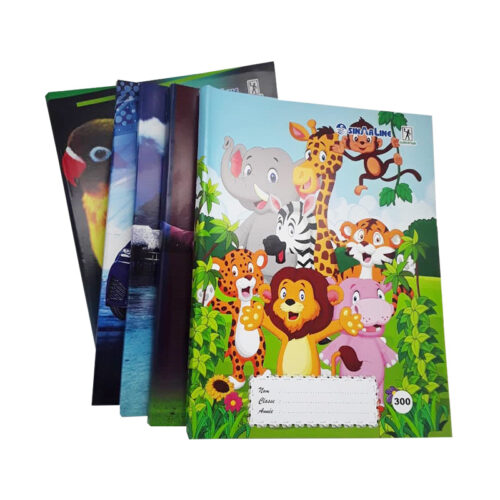 Cahier 300 pages
