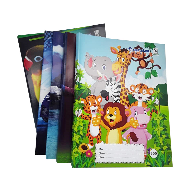 Cahier 300 pages